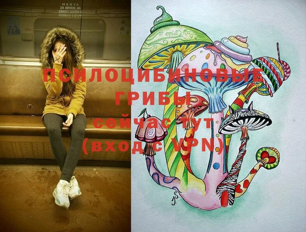 таблы Покачи