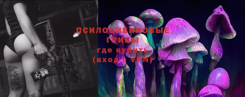 где продают   блэк спрут ССЫЛКА  Псилоцибиновые грибы Cubensis  Курильск 