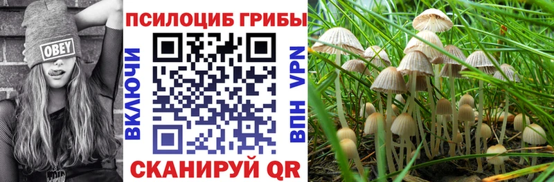 Псилоцибиновые грибы прущие грибы  shop Telegram  Курильск 